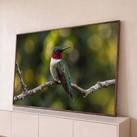 Quadro Decorativo Grande Beija-Flor no Galho para Sala Verde - Borda Infinita / 65x100cm
