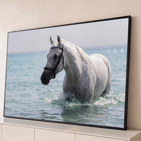 Cavalo branco tordilho com cabeçada preta caminhando no mar turquesa entre respingos, quadro decorativo
