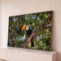 Quadro Decorativo Grande Tucano de Bico para Sala Verde | quadros decorativos para sala | tucano de bico laranja pousado em galho entre folhas verdes | Porao dos Quadros