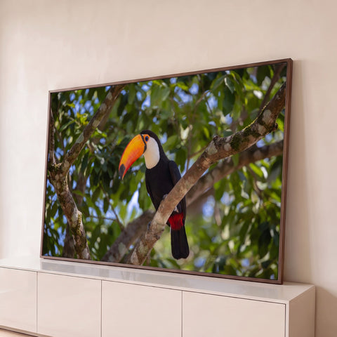 Tucano de bico laranja pousado em galho de árvore com folhagem verde ao fundo, quadro decorativo