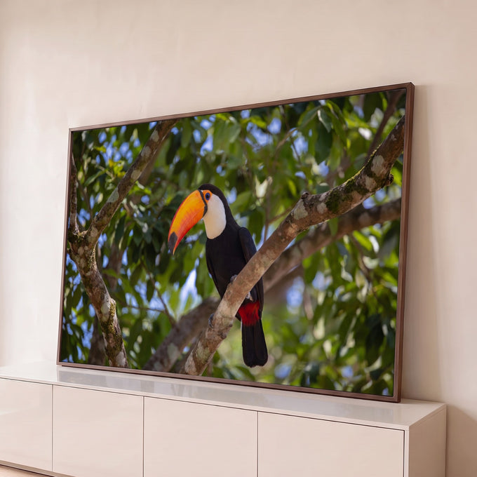 Quadro Decorativo Grande Tucano de Bico para Sala Verde | quadros decorativos para sala | tucano de bico laranja pousado em galho entre folhas verdes | Porao dos Quadros