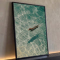 Cachorro salsicha nadando em água cristalina verde vista de cima com sombra no fundo, quadro decorativo