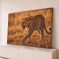 Leopardo de manchas pretas rosnando e caminhando no capim dourado da savana ao entardecer, quadro decorativo