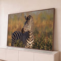 Zebra de listras pretas e brancas olhando de lado na savana dourada, com pinceladas aparentes, quadro decorativo