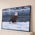 Quadro Decorativo Grande Águia Americana Branco para Sala | quadros decorativos para sala | águia de cabeça branca pousada na neve com montanhas e água escura ao fundo | Porao dos Quadros