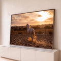 Cavalo branco trotando em picadeiro de areia ao pôr do sol, levantando poeira sob céu laranja, quadro decorativo