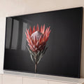Flor protea-rei em tons de rosa e coral com folhas verde-acinzentadas sobre fundo cinza escuro, quadro decorativo