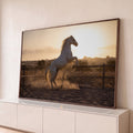 Cavalo branco empinado levantando poeira em picadeiro de areia ao pôr do sol, quadro decorativo