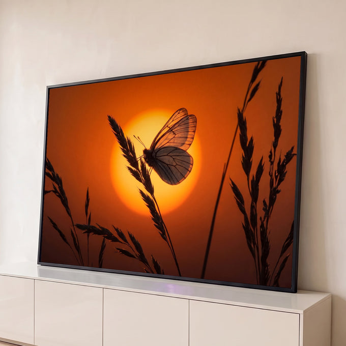 Quadro Decorativo Grande Borboleta na Grama para Sala | quadros decorativos para sala | borboleta em silhueta pousada em espiga de grama contra sol alaranjado | Porao dos Quadros