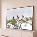 Quatro tucanos de bico laranja pousados no alto de uma árvore com céu claro ao fundo, quadro decorativo