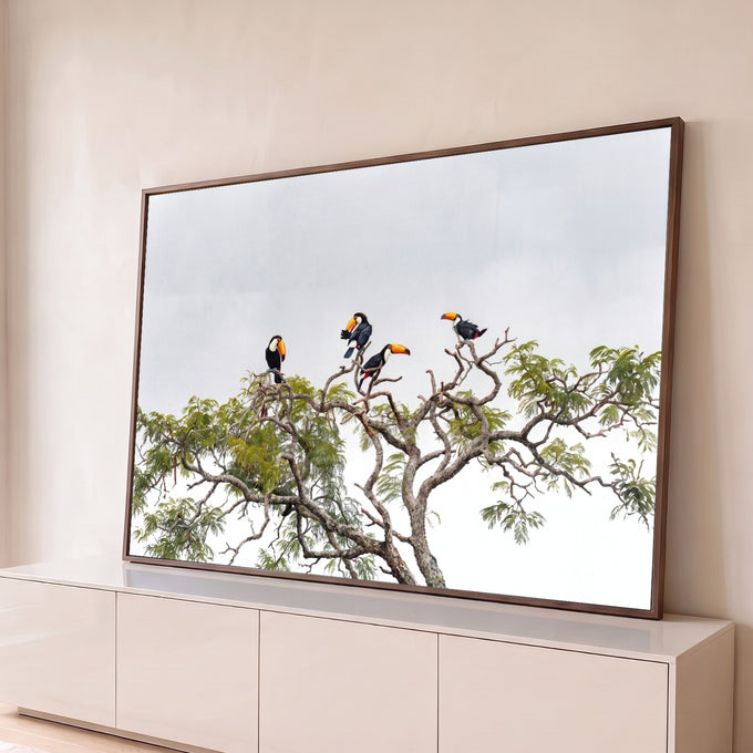Quatro tucanos de bico laranja pousados no alto de uma árvore com céu claro ao fundo, quadro decorativo