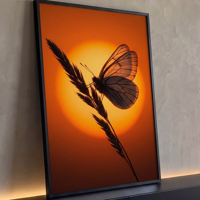 Quadro Decorativo Grande Borboleta ao Pôr do Sol para Sala | quadros decorativos para sala | borboleta em contraluz com asas transparentes sobre sol laranja intenso | Porao dos Quadros