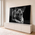 Quadro Decorativo Grande Cachorro Pastor para Sala Preto | quadros decorativos para sala | pastor-alemão deitado em preto e branco com reflexo no chão escuro | Porao dos Quadros