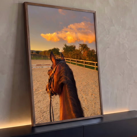 Quadro Decorativo Grande Cavalo em Arena para Sala Marrom | quadros decorativos para sala | cavalo castanho visto de cima em arena ao pôr do sol dourado | Porao dos Quadros