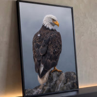 Quadro Decorativo Grande Águia de Costas para Sala Cinza - Borda Infinita / 100x65cm