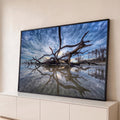Árvore seca caída na praia com galhos refletidos na areia molhada sob céu azul nublado, quadro decorativo