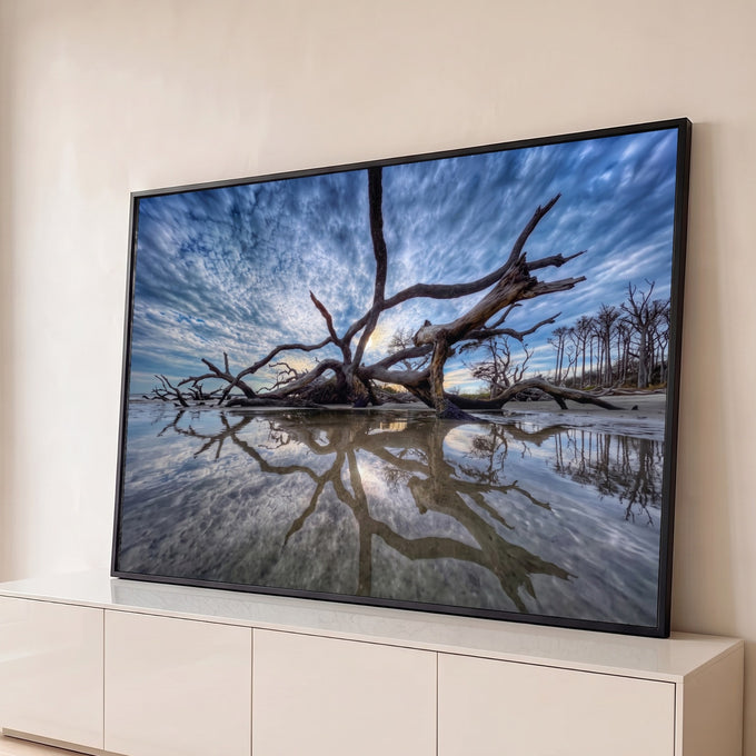 Árvore seca caída na praia com galhos refletidos na areia molhada sob céu azul nublado, quadro decorativo
