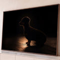 Cachorro salsicha dachshund sentado de perfil em silhueta com contraluz dourada no fundo preto, quadro decorativo