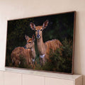 Quadro Decorativo Grande Filhotes de Antílope para Sala | quadros decorativos para sala | dois filhotes de antílope nyala com listras brancas em fundo de floresta escura | Porao dos Quadros