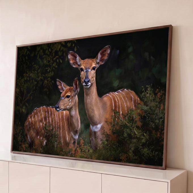 Quadro Decorativo Grande Filhotes de Antílope para Sala | quadros decorativos para sala | dois filhotes de antílope nyala com listras brancas em fundo de floresta escura | Porao dos Quadros