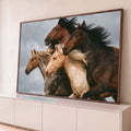 Quadro Decorativo Grande Cavalos Selvagens para Sala Marrom | quadros decorativos para sala | quatro cavalos correndo com crinas ao vento contra céu nublado | Porao dos Quadros