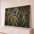 Pássaro diamante-de-gould colorido pousado em galho de eucalipto com folhas verdes, quadro decorativo