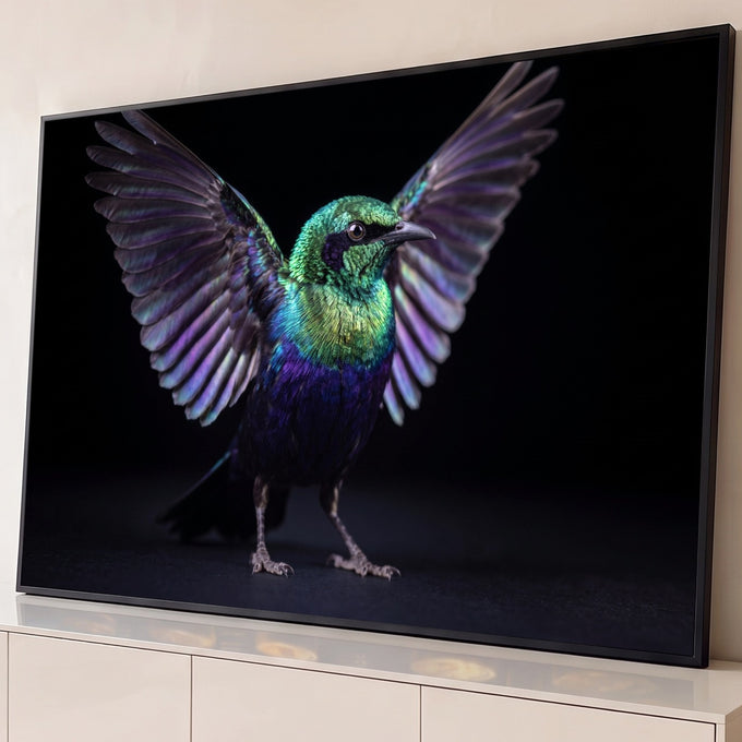 Pássaro de penas iridescentes verde e roxo com asas abertas sobre fundo preto, quadro decorativo