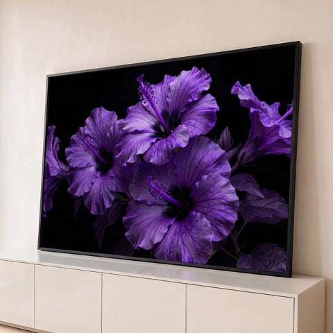 Flores de hibisco roxas em close, com estames e pétalas aveludadas sobre fundo preto, quadro decorativo