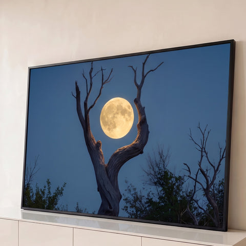 Lua cheia dourada entre os galhos em V de uma árvore seca no céu azul da noite, quadro decorativo