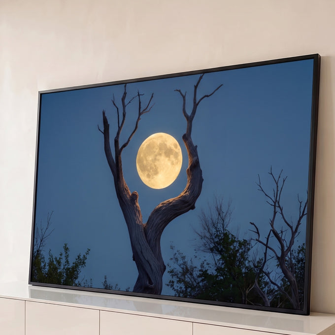 Quadro Decorativo Grande Lua Árvore Seca para Sala | quadros decorativos para sala | lua cheia dourada entre galhos de árvore seca contra céu azul escuro | Porao dos Quadros