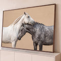 Cavalo branco de crina trançada apoiando a cabeça sobre cavalo tordilho, fundo bege, quadro decorativo