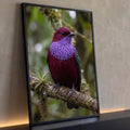 Pássaro bordô de peito lilás pousado em galho com musgo e bromélia, fundo verde desfocado, quadro decorativo
