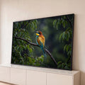Pássaro abelharuco colorido pousado em galho molhado sob a chuva, entre folhas verdes, quadro decorativo