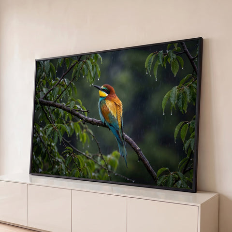 Pássaro abelharuco colorido pousado em galho molhado sob a chuva, entre folhas verdes, quadro decorativo