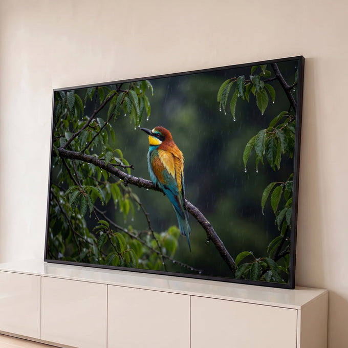Pássaro abelharuco colorido pousado em galho molhado sob a chuva, entre folhas verdes, quadro decorativo