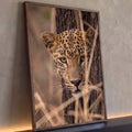 Leopardo de olhos verdes espreitando atrás de tronco entre capim seco, fotografia, quadro decorativo