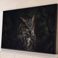 Coruja-orelhuda com olhos âmbar e penas marrons em fundo escuro, fotografia, quadro decorativo