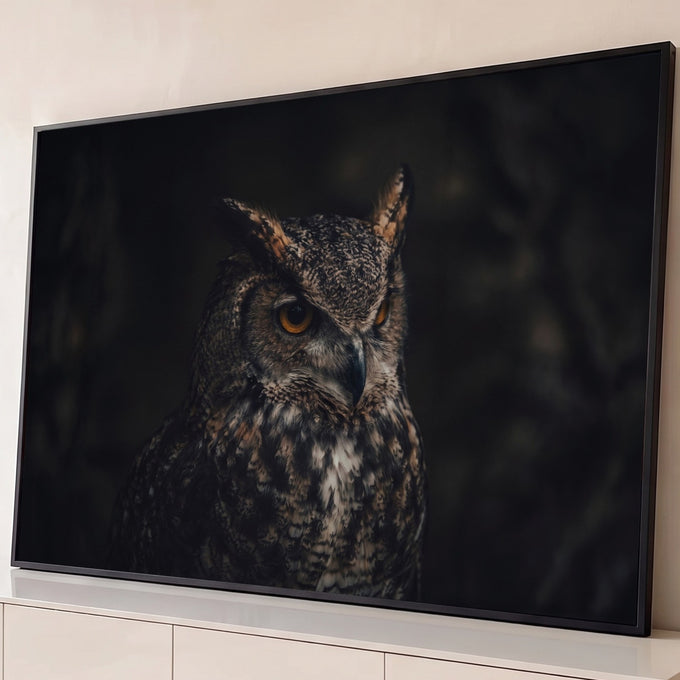 Coruja-orelhuda com olhos âmbar e penas marrons em fundo escuro, fotografia, quadro decorativo