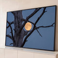 Quadro Decorativo Grande Lua Cheia Árvore Seca para Sala | quadros decorativos para sala | lua cheia dourada emoldurada por galhos secos de árvore contra céu azul crepuscular | Porao dos Quadros