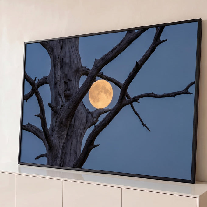 Quadro Decorativo Grande Lua Cheia Árvore Seca para Sala | quadros decorativos para sala | lua cheia dourada emoldurada por galhos secos de árvore contra céu azul crepuscular | Porao dos Quadros
