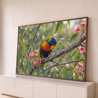 Quadro Decorativo Grande Lóris no Eucalipto para Sala Verde - Borda Infinita / 65x100cm