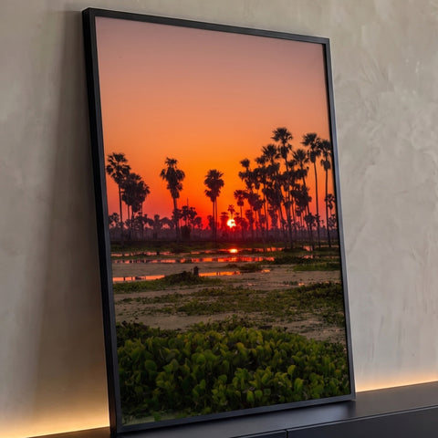 Pôr do sol laranja com silhuetas de palmeiras refletidas na várzea e aguapés verdes, quadro decorativo