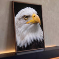 Águia-de-cabeça-branca em close, penas brancas, olho âmbar e bico amarelo, quadro decorativo