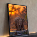 Elefante jovem ajoelhado bebendo água em bebedouro com fundo laranja de pôr do sol, quadro decorativo