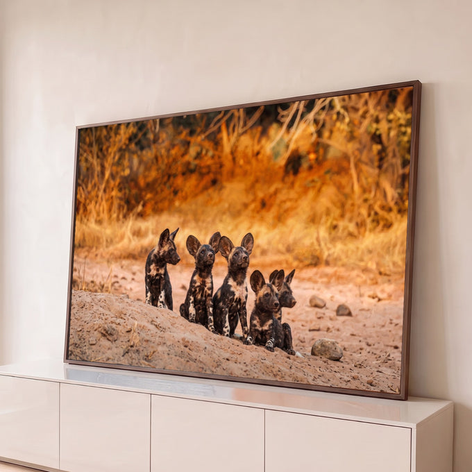 Cinco filhotes de licaon sentados na terra da savana com fundo laranja dourado, quadro decorativo