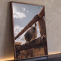 Cavalo branco espiando entre cerca de madeira rústica sob céu azul com sol, quadro decorativo