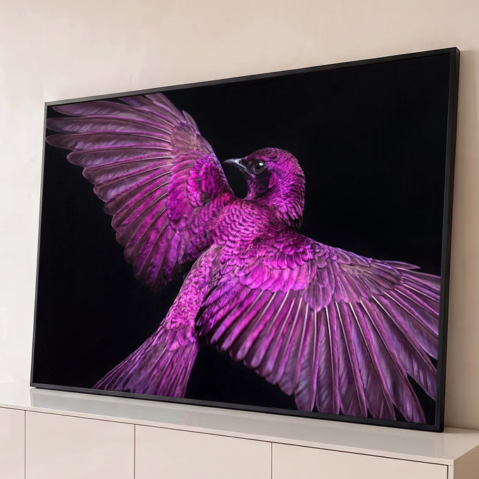 Quadro Decorativo Grande Pássaro de Asas para Sala Rosa | quadros decorativos para sala | pássaro com asas abertas em tons de rosa e roxo sobre fundo preto | Porao dos Quadros
