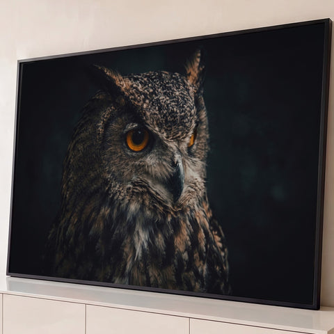 Coruja-real em close-up com olhos laranja intensos e penas marrons sobre fundo escuro, quadro decorativo