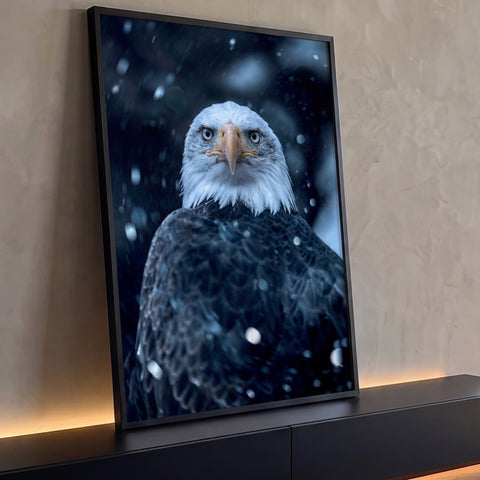 Águia-de-cabeça-branca olhando de frente sob neve caindo em fundo azul escuro, quadro decorativo