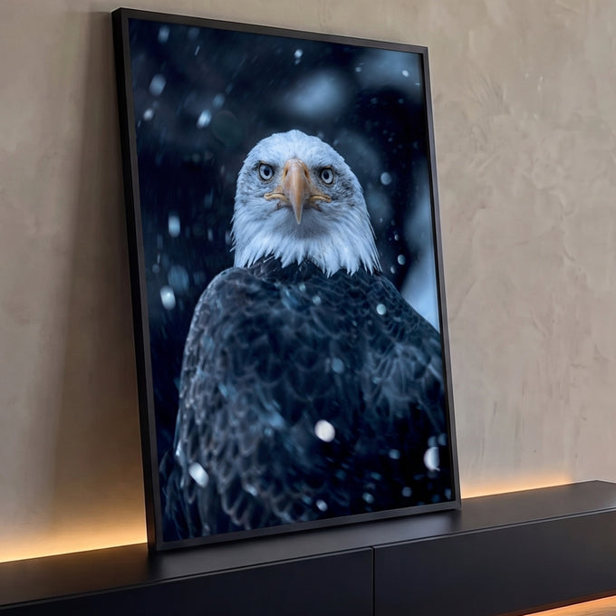 Águia-de-cabeça-branca olhando de frente sob neve caindo em fundo azul escuro, quadro decorativo